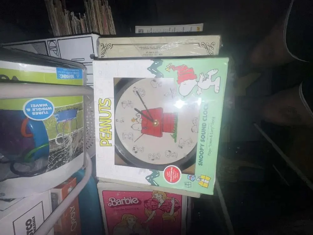 Peanuts brand new